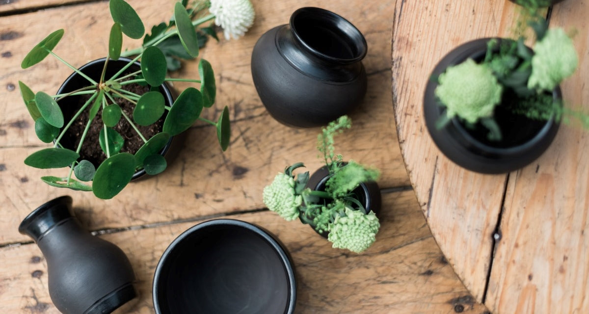 The Perfect Pottery for Plant-Lovers