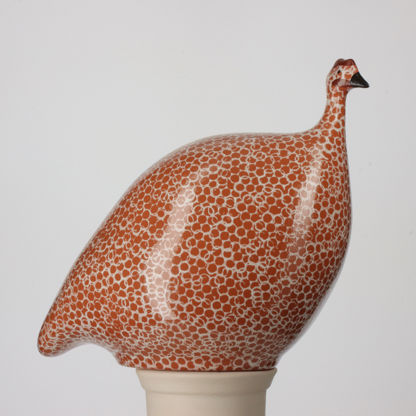Guinea Fowl, Red Spotted White