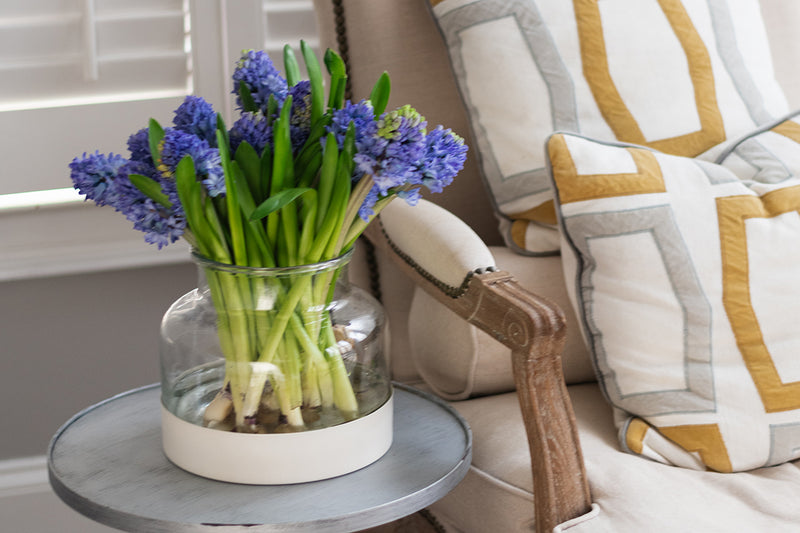 3-in-1 Glass Bloom Vase, Vineyard Color Set