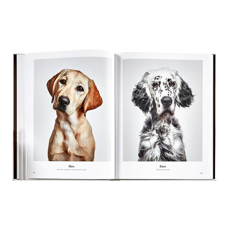 Good Dog: A Selection of Portraits by Randal Ford, Leather Cover Edition