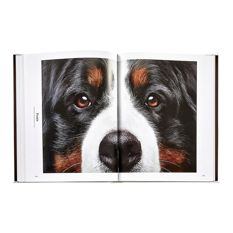 Good Dog: A Selection of Portraits by Randal Ford, Leather Cover Edition