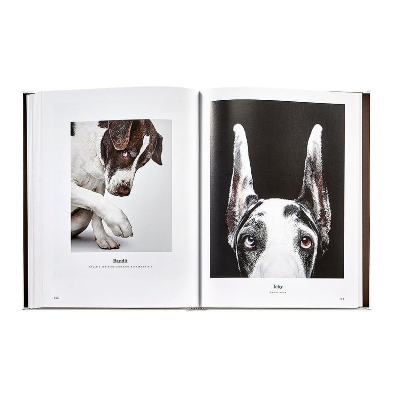 Good Dog: A Selection of Portraits by Randal Ford, Leather Cover Edition