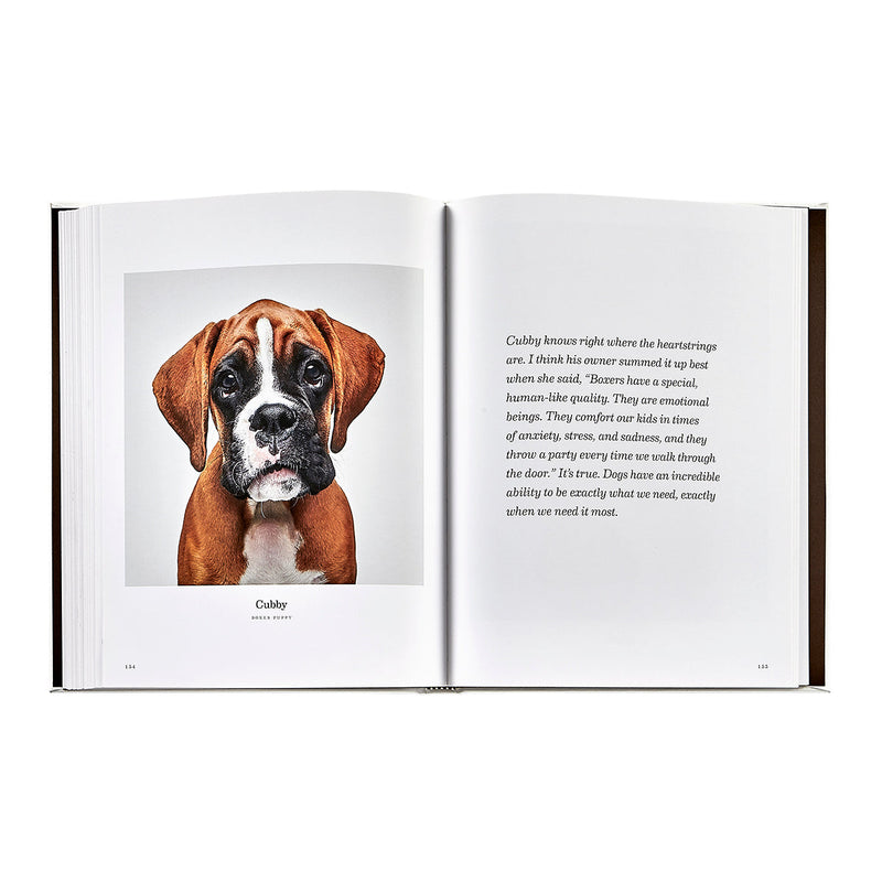 Good Dog: A Selection of Portraits by Randal Ford, Leather Cover Edition