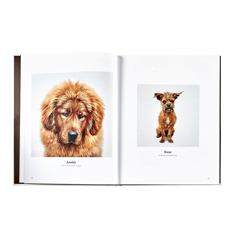 Good Dog: A Selection of Portraits by Randal Ford, Leather Cover Edition