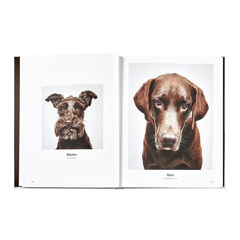 Good Dog: A Selection of Portraits by Randal Ford, Leather Cover Edition