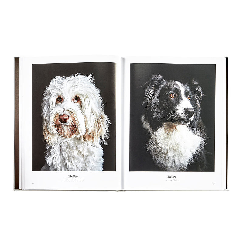 Good Dog: A Selection of Portraits by Randal Ford, Leather Cover Edition