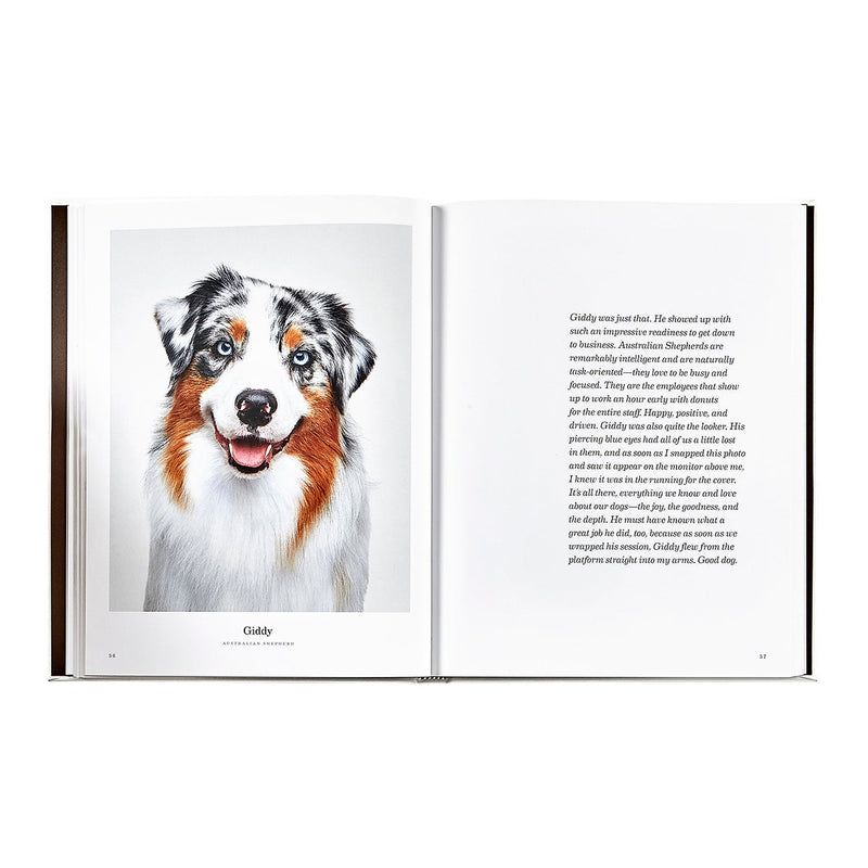 Good Dog: A Selection of Portraits by Randal Ford, Leather Cover Edition