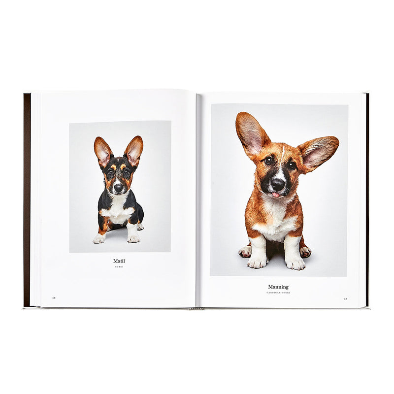 Good Dog: A Selection of Portraits by Randal Ford, Leather Cover Edition