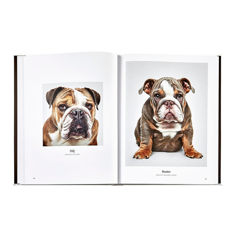 Good Dog: A Selection of Portraits by Randal Ford, Leather Cover Edition
