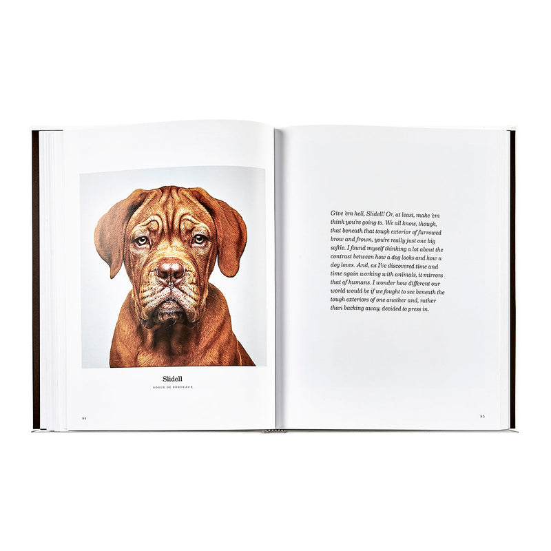 Good Dog: A Selection of Portraits by Randal Ford, Leather Cover Edition