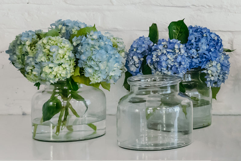 Clear Bloom Flower Vase