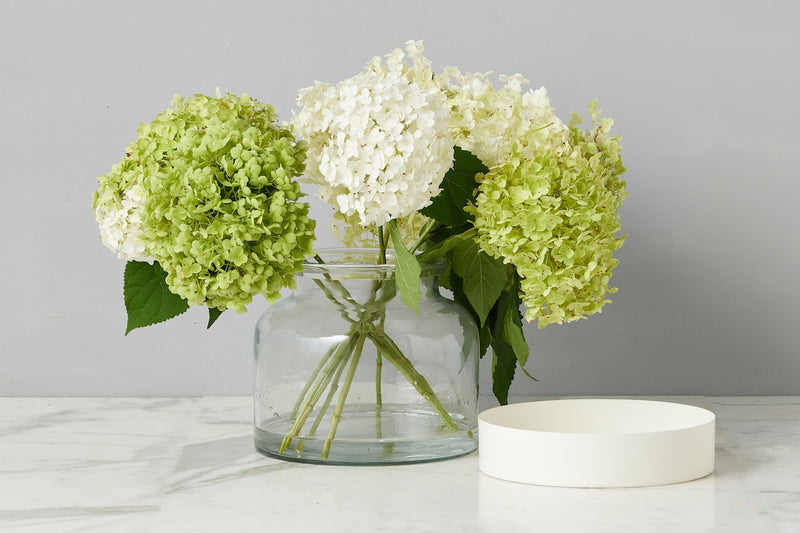 Glass Bloom Vase, Removable White Base