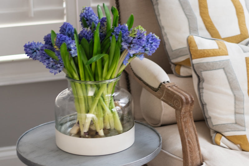 Glass Bloom Vase, Removable White Base