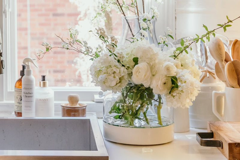 Glass Bloom Vase, Removable White Base