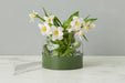GMN455EWG9 etuhome 2 in 1 Scalloped Bloom Vase White Spruce Green