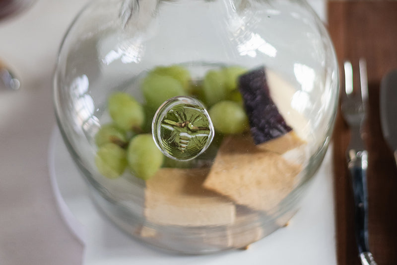 Glass Cloche Food Cover, White Ring Handle, Small