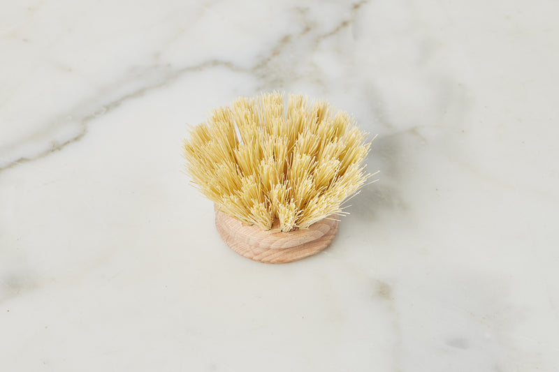 Euro Dish Brush Replacement Head