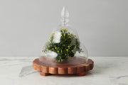 Scalloped Trivet Riser, Large Round, Natural