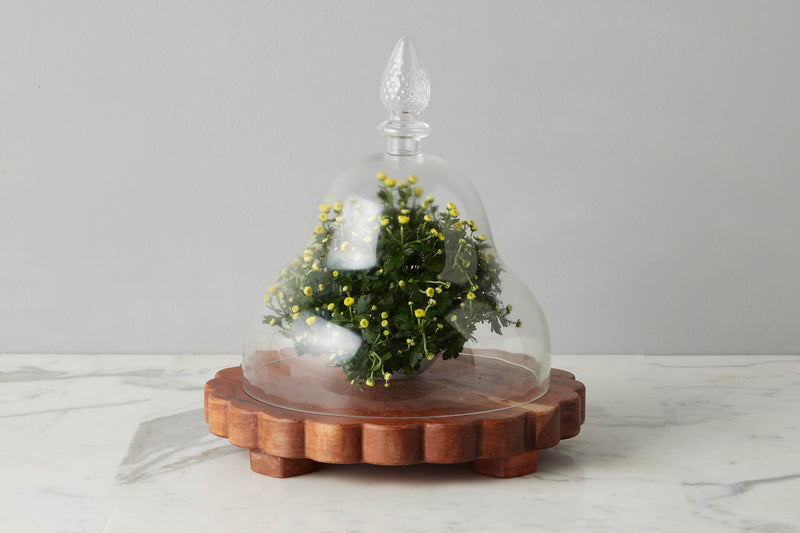 Glass Teardrop Cloche, Large