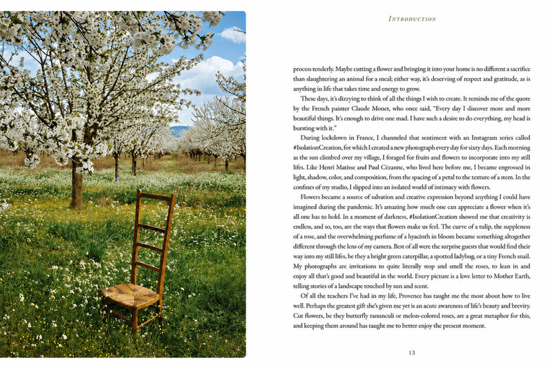 Flowers of Provence