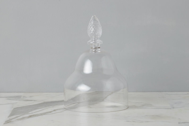 Glass Teardrop Cloche
