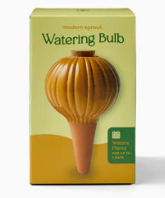 Terracotta Watering Bulb Mustard