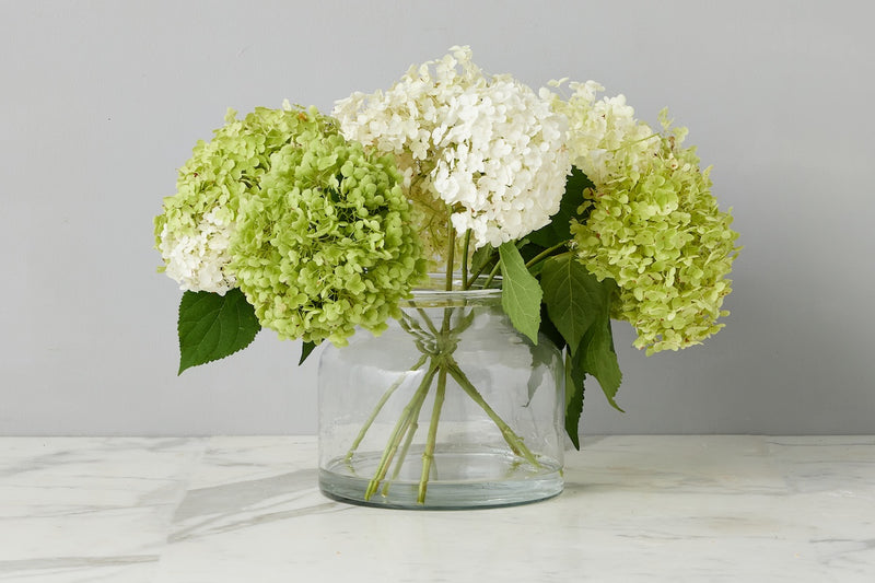 Clear Bloom Flower Vase