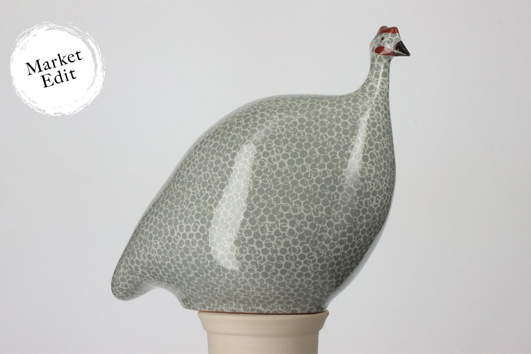 Guinea Fowl, Polar Blue Spotted White