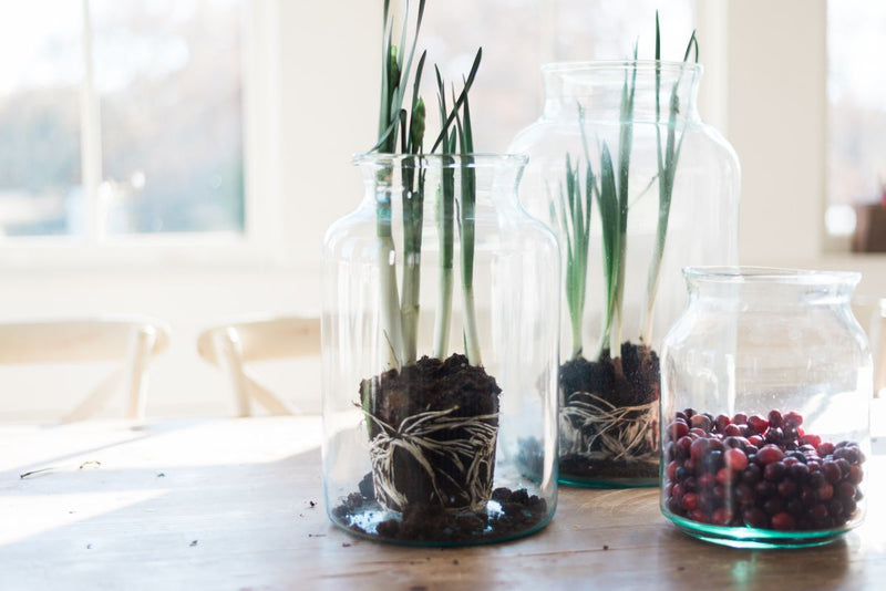 etúHOME Clear Mason Jar, 10L 6