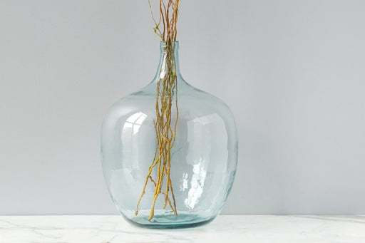Euphoria Small Glass Vases: Set of 2 – Cinch Home