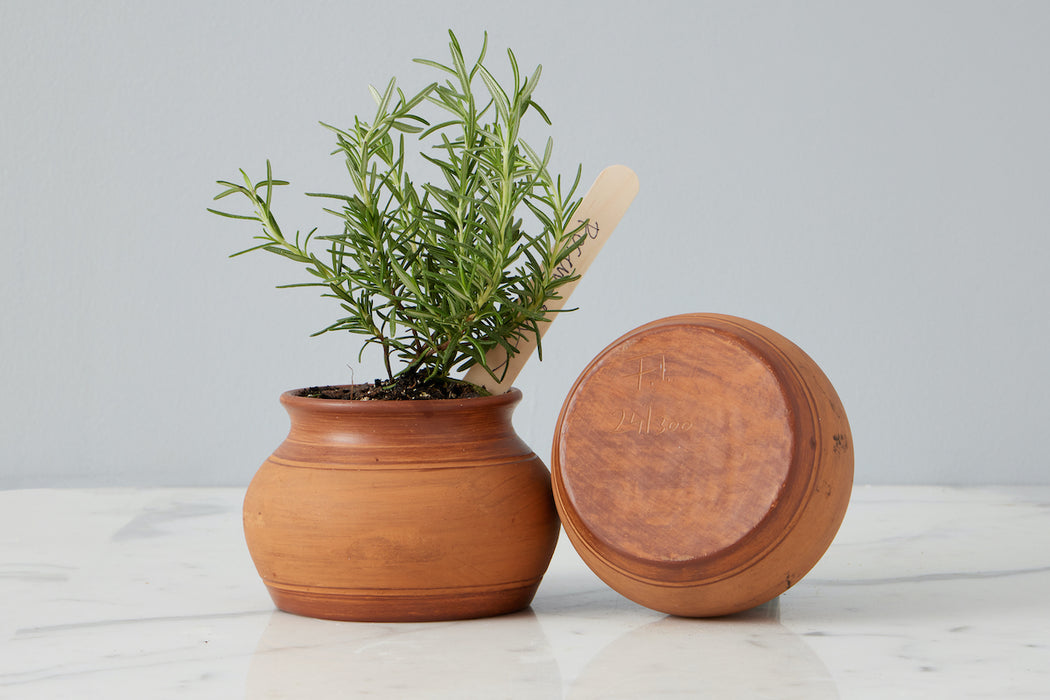 Limited Edition Terracotta Round Planter, Small