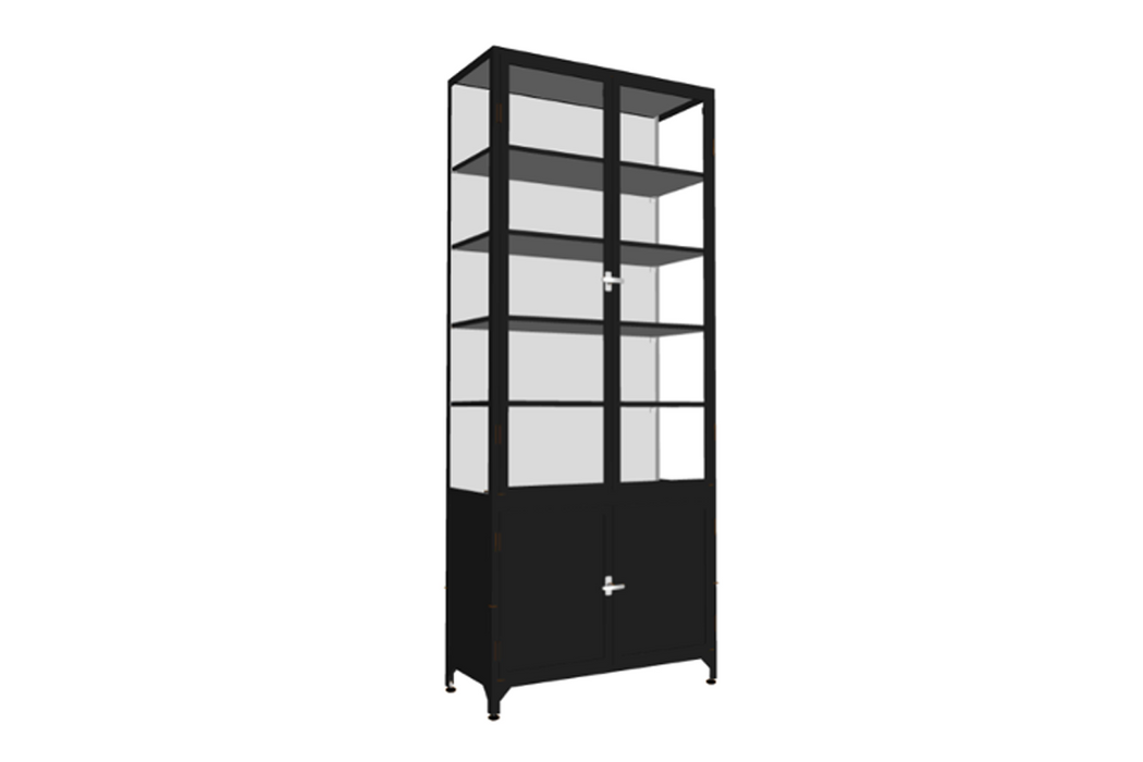 Black 2-Door Glass Storage Cabinet